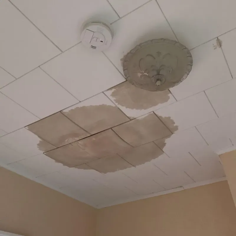 Ceiling Water Damage Repair in Fannin County, GA