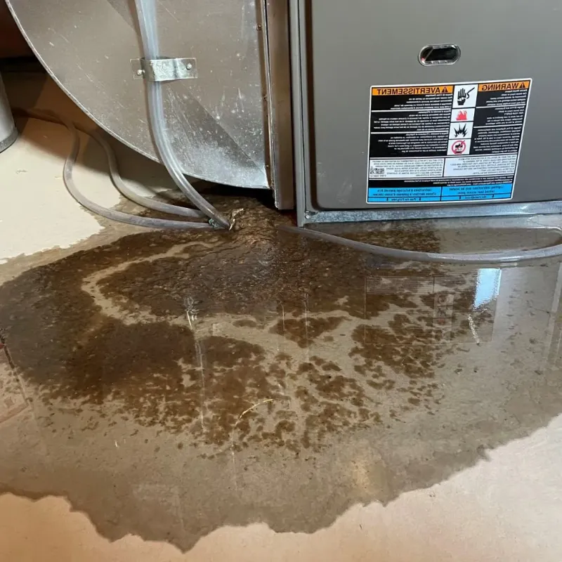 Pipe Burst and Leak Restoration in Fannin County, GA