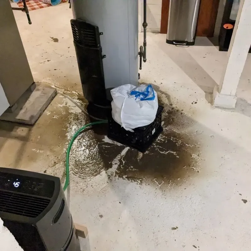 Sewage Backup Cleanup Service in Fannin County, GA